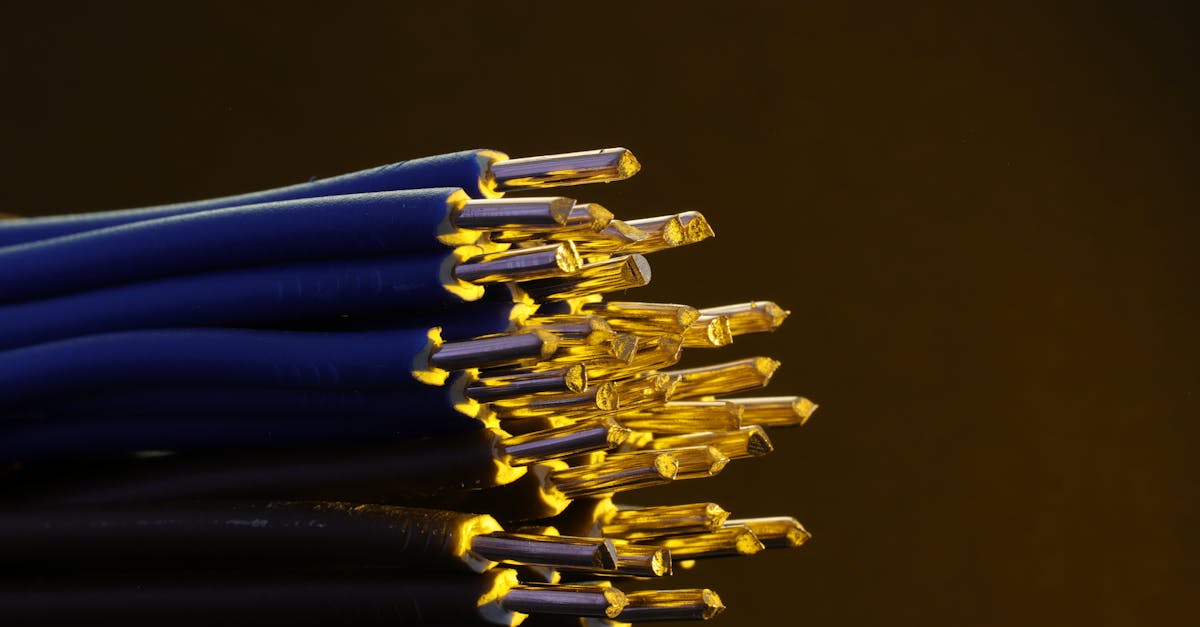 黄金叶100天叶：详情下载教程和教育app详情下载教程