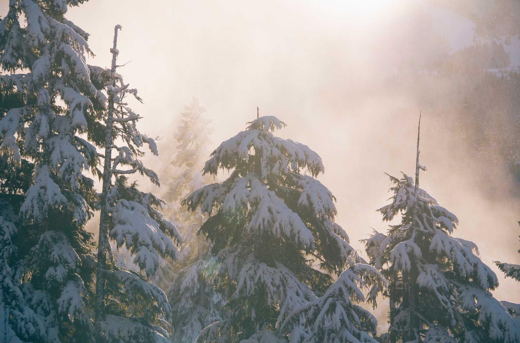 DDOS攻击教程|战舰世界如何购买游戏账号