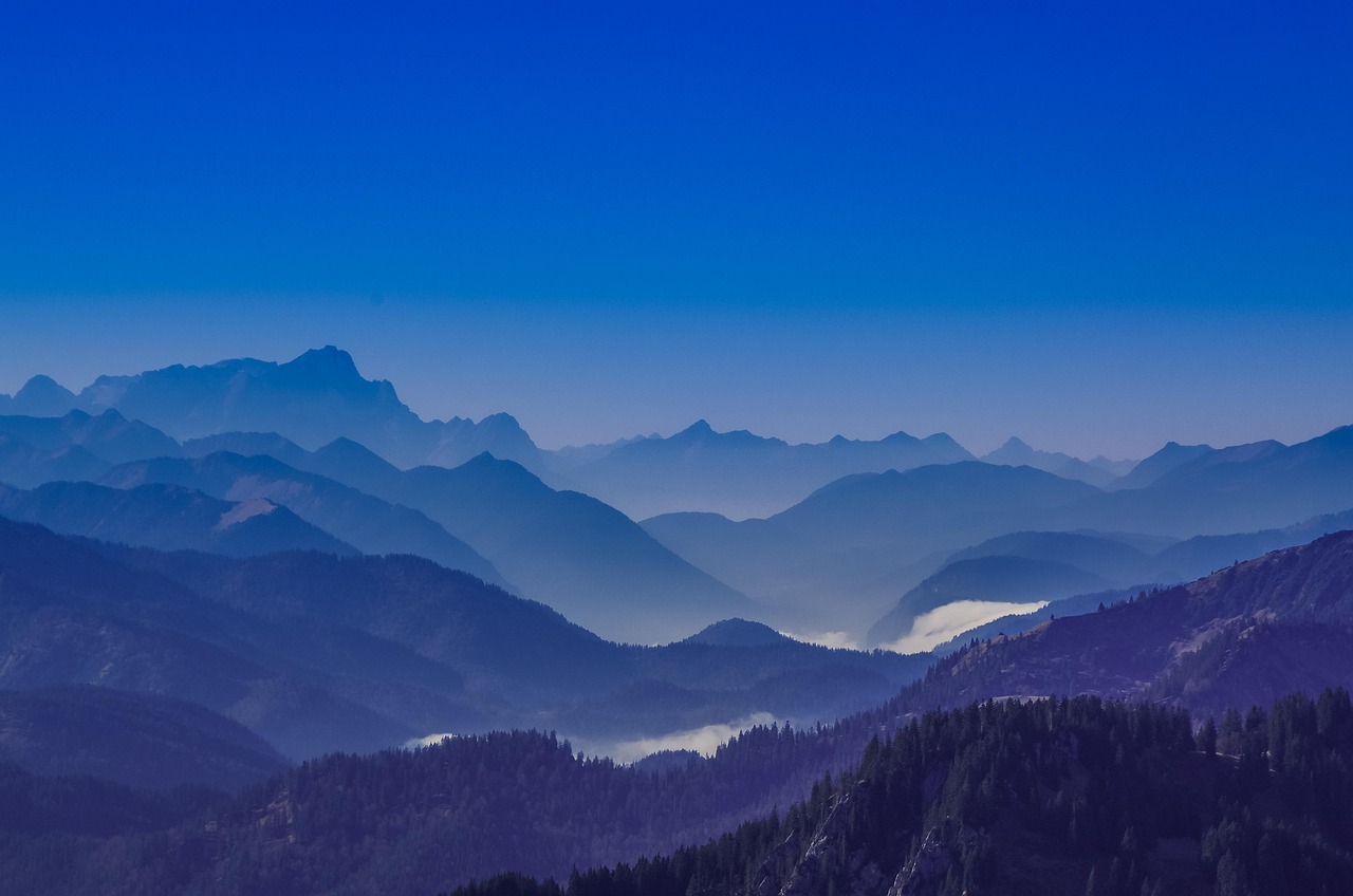 Bohem宝恒树叶橙子爆珠：上海进出口公司注册代理商