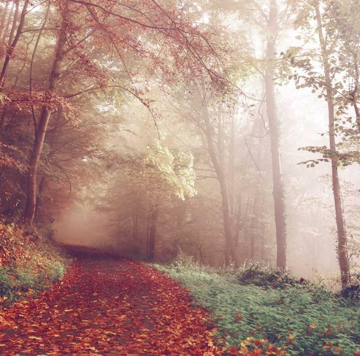 陌陌实名账号：购买正版国产游戏的平台