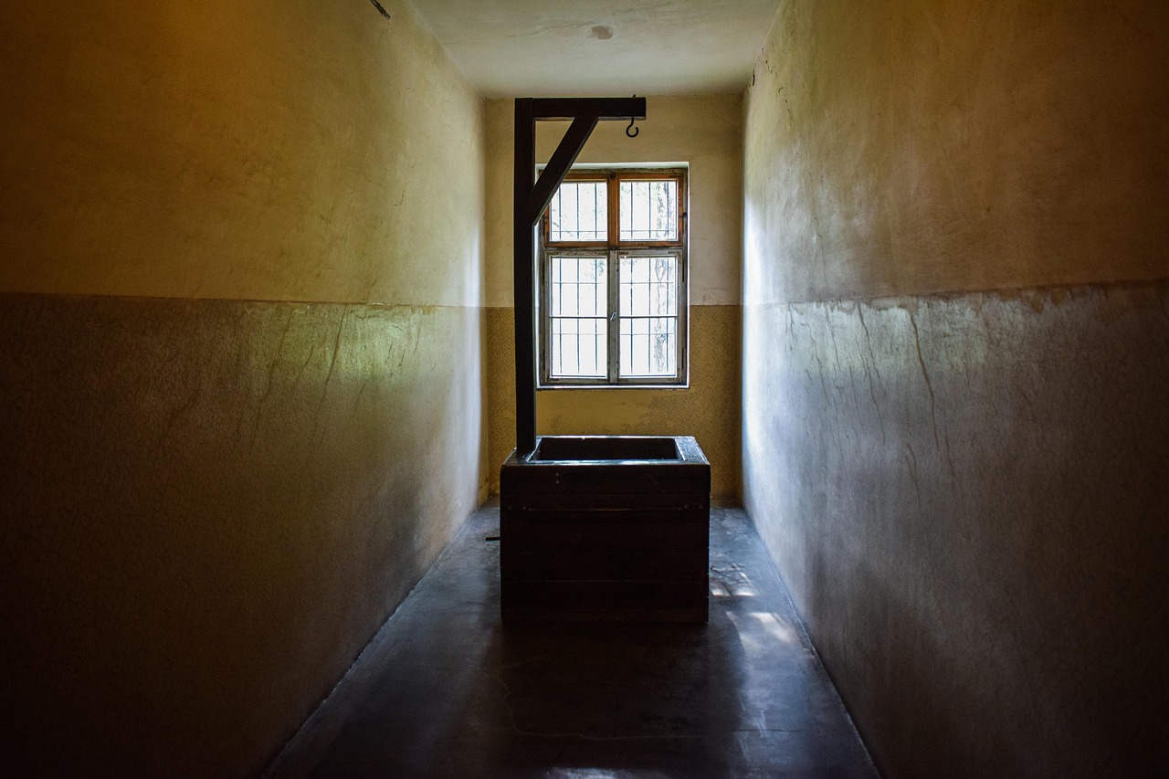 NBA2K OL2：白狐软件详情下载教程app