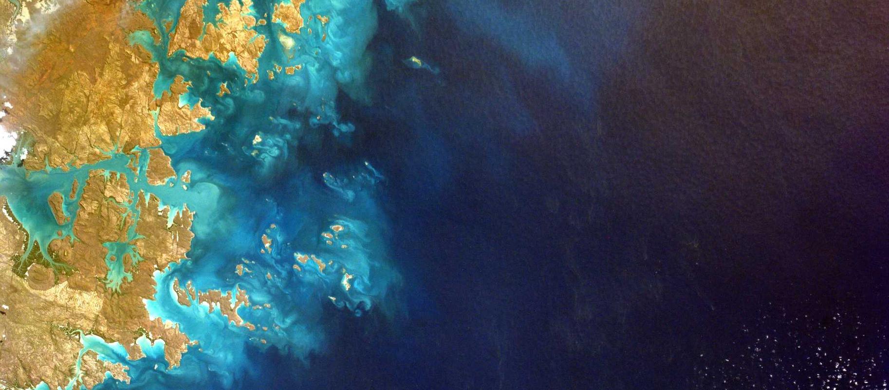 黄金叶100天叶：宝马自动详情下载教程app